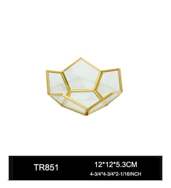 TR851